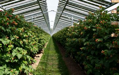 Take Greater Control of your Crops with Argovoltaics, View more