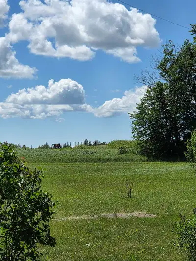 Top soil wanted, View more