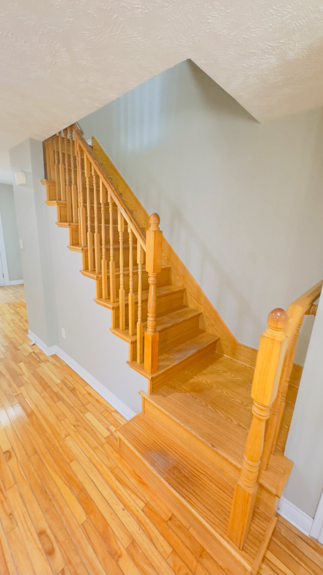 3 bedroom rental Moncton in Long Term Rentals in Moncton - Image 4