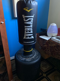 Everlast PowerCore standing punching bag 250-370 lbs