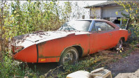 in search for a 1968 1969 1970 dodge charger any condition