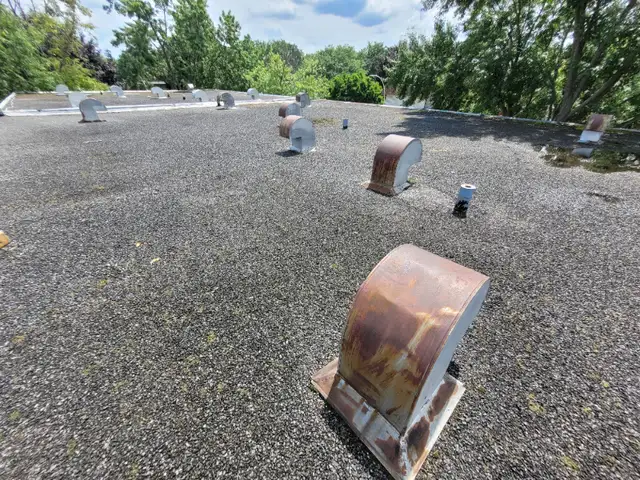 ROOF REPAIR PATCH REALLY GOOD PRICE URGENT ROOF REPAIR62865711047809129