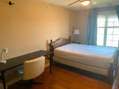 One room for rent in a three bedroom condo
