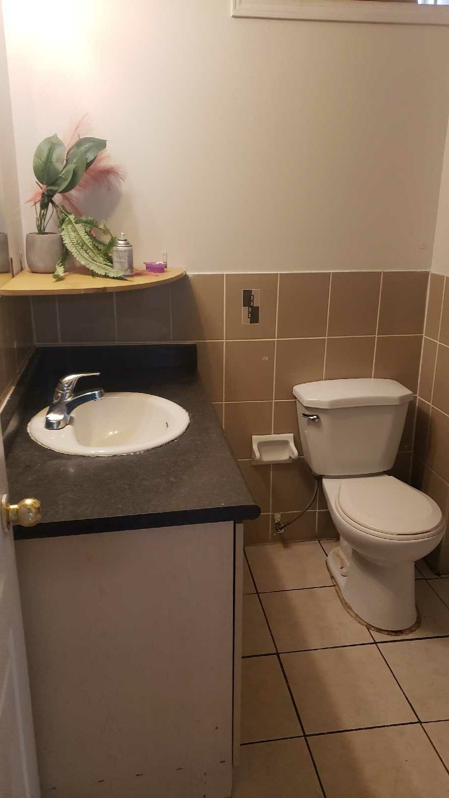 one bedroom for rent beasmant 3