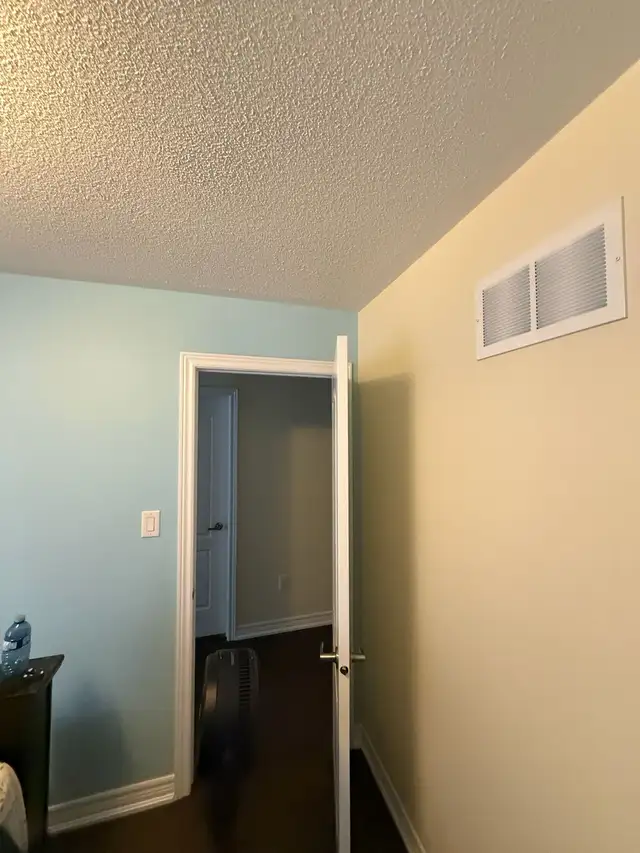 professional painter486353626653665282
