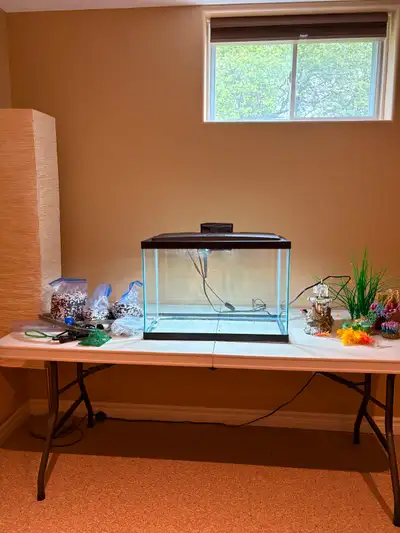 20 Gallon Fish Tank With Decor, View more
