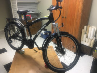 EWind electric bike, full size frame, 36 Volt