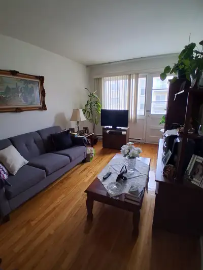 5 1/2 rent  in heart of park ex $1850