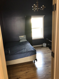 Student Room for rent 