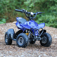 Kids Quad   780 710 3353 Edmonton Edmonton Area Preview