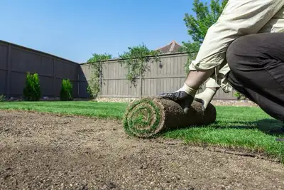 Transform your outdoor space with these vibrant, used sod rolls, each containing healthy grass ready...