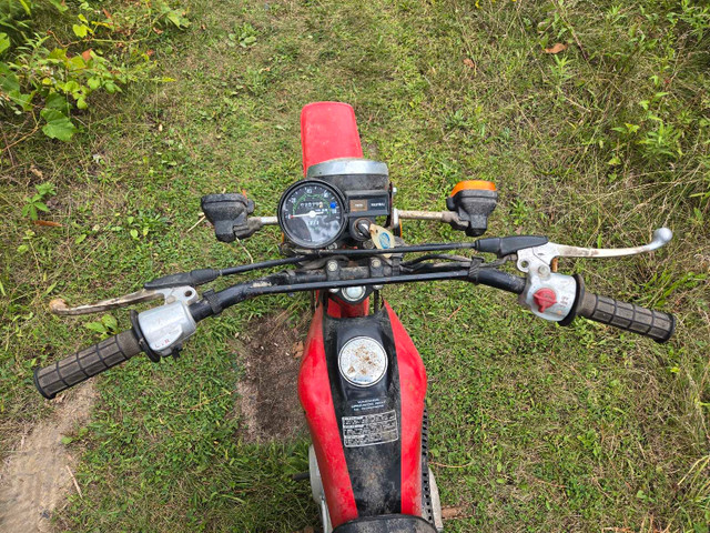 1982 Honda xl80s in Dirt Bikes & Motocross in Oakville / Halton Region - Image 3