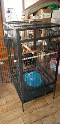 Bird cage  used 