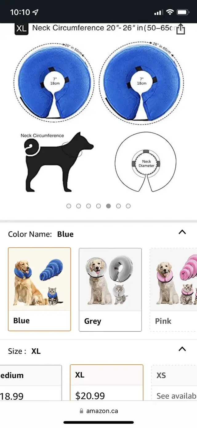 XL inflatable dog cone collar in Accessories in Saskatoon - Image 6