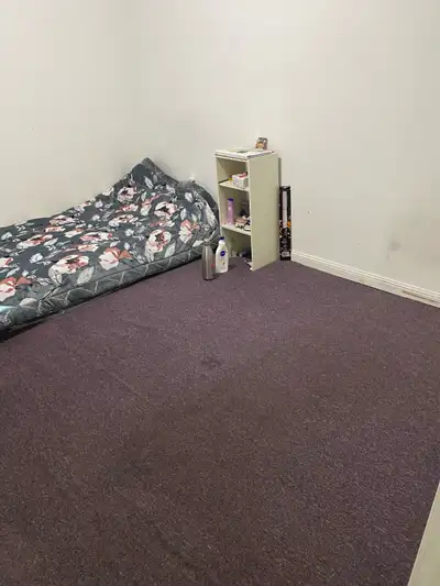 Room available for one girl only in sharing
