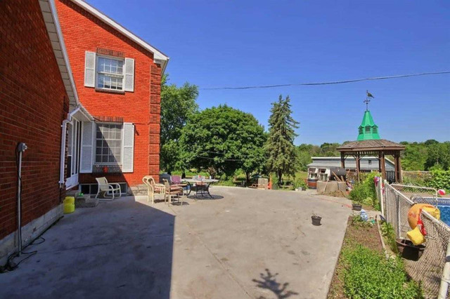 18 Acres of Farmland For Sale East Gwillimbury Ontario in Houses for Sale in Markham / York Region - Image 3