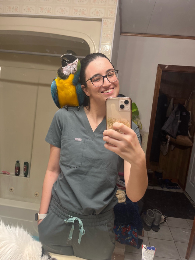 Offering bird sitting and boarding in Animal & Pet Services in Grand Bend