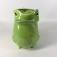 Vintage Ceramic Frog Collectible Pitcher