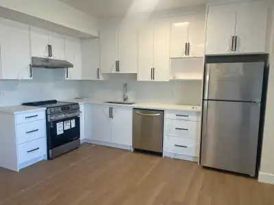 Brand New Walkout Basement for Rent * 2 Bedrooms, 1 Bathroom * Separate private entrance * Bright an...