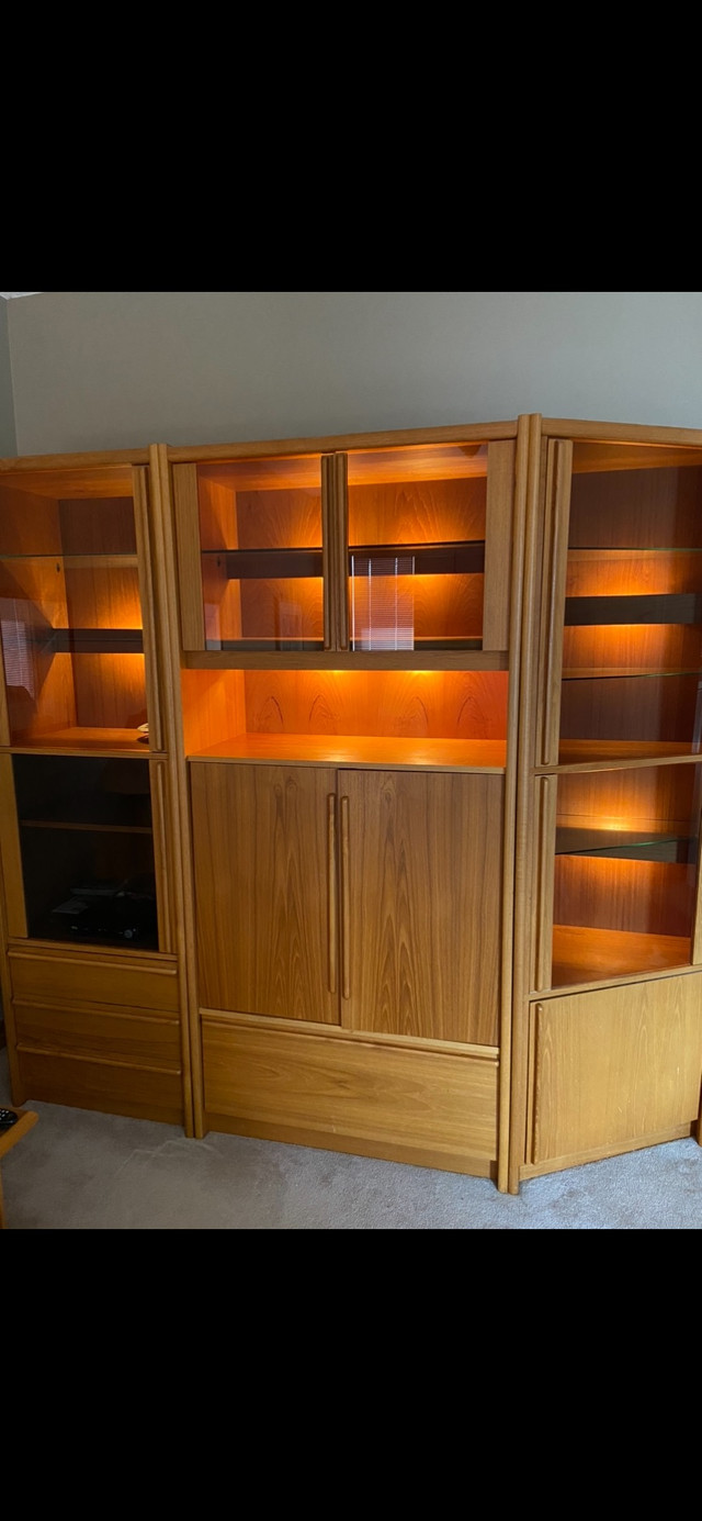 Teak Wall Unit in Bookcases & Shelving Units in Thunder Bay - Image 3