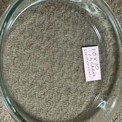 10-inch glass pie plate, perfect for baking your favorite pies. The pie plate is in good condition a...