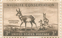 Pronghorn Antelope - US 1950's 3 cent stamp - unused - 50 block