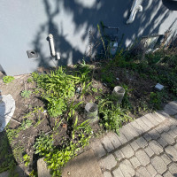 Help me find my Garden
