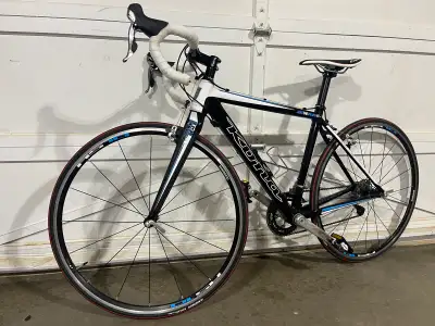 2011 Jake the Snake, View more