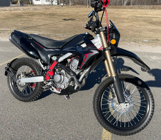 2020 CRF250L Dual Sport in Dirt Bikes & Motocross in Fredericton - Image 3