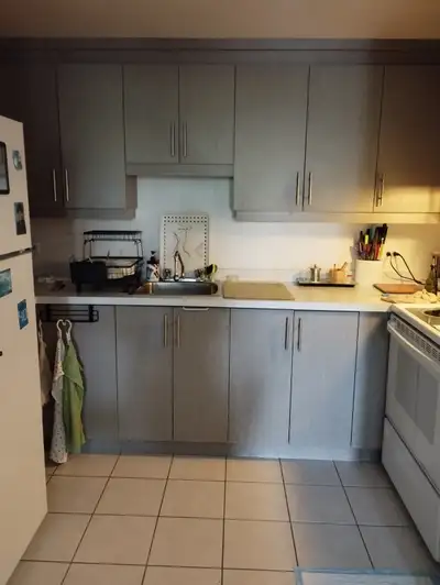 CESSION DE BAIL 2 mois - 3 1/2 GRAND et LUMINEUX
