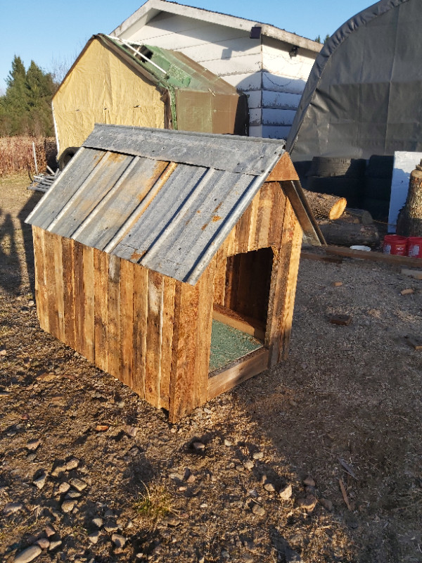 Dog house for sale in Accessories in Petawawa