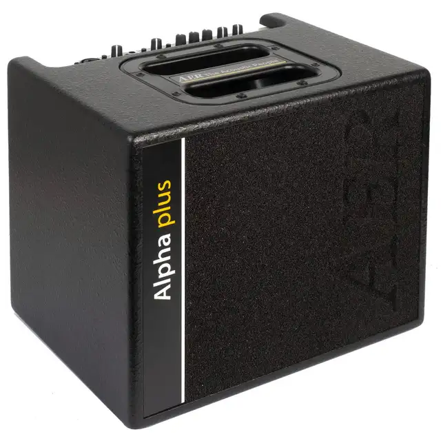 AER AMPS  finally back in Canada . in Amps & Pedals in Mississauga / Peel Region - Image 2