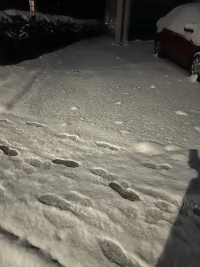 need person with car , View more