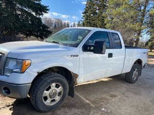 2010 Ford F 150