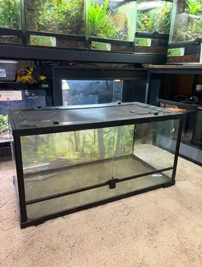 thrive 36x18x18 terrarium , View more
