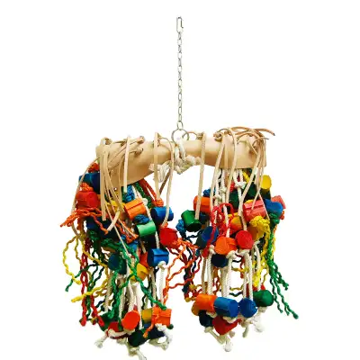 40%OFF NEW YEARSALE ZOO-MAX PARROT TOYS  ATCENTRAL PET TORONTO !, View more