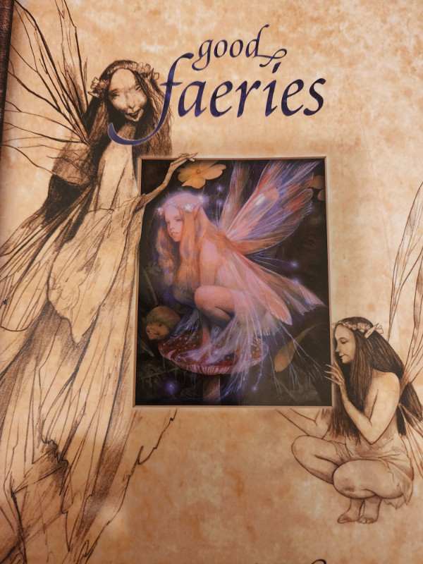 Hardcover Edition Good Faeries / Bad Faeries By Brian Froud in Fiction in Edmonton - Image 4