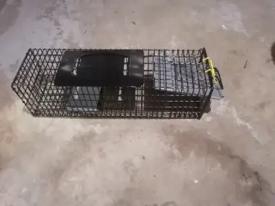 Live Animal Trap, View more