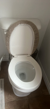 American toilet 
