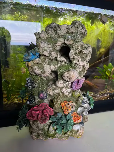 It’s big! 11.5 inches tall, 6.5 inches wide and 5.5 deep. My fish loved to go in and out of the hole...