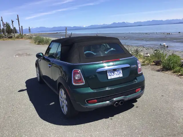 2010 Mini Convertible503112549186283525