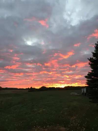 Looking for full time labor equipment operator all late model equipment