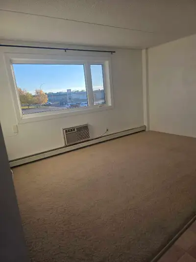 A bedroom is available for rent in a 2 bedroom,1 bathroom apartment unit. Very neat and spacious. $4...
