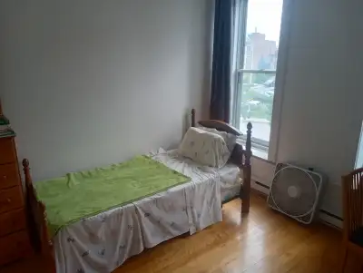 Chambre à louer