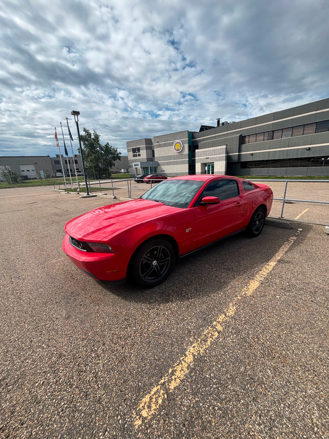 2010 Mustang GT in Cars & Trucks in Edmonton