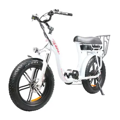 DJ Super Bike Step Thru 500W 48V 20" Fat Tire ** 50% OFF **, View more
