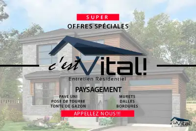 Décoration extérieur - Paysagement - Pavé unis, View more