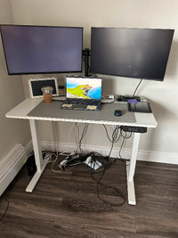 Automatic Standing Desk in White
