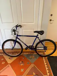 Vintage Norco Mountaineer Bike 26” Tires