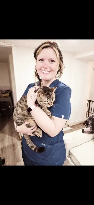 Professional Cat Grooming in your home , View more